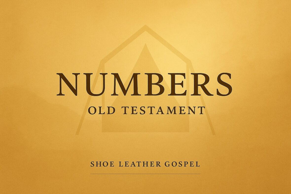 Journey with Israel through the wilderness in the Book of Numbers: testing, leadership, faith, and hope. Apply the story to your spiritual formation.